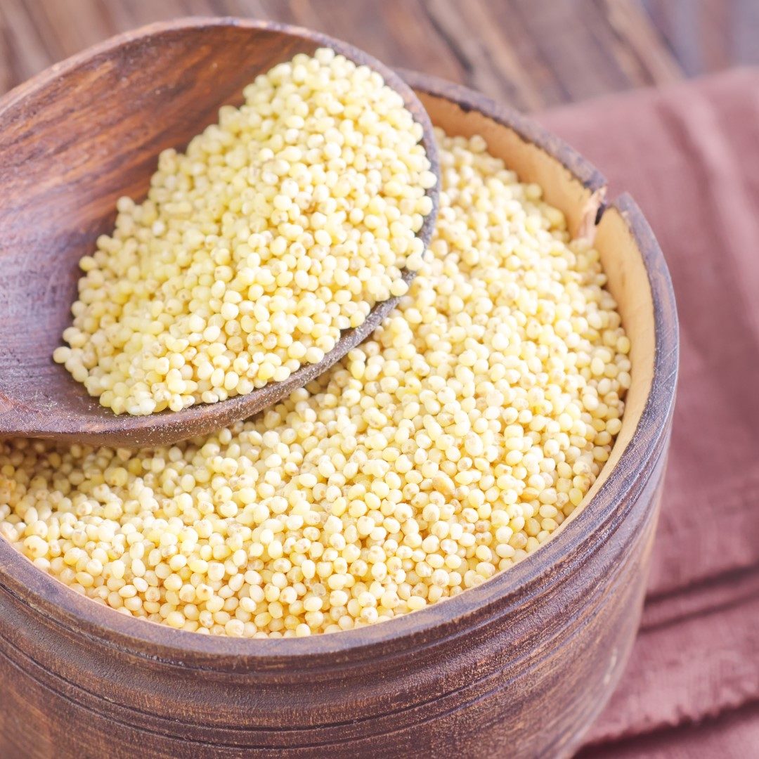 Turkish Poppy Seeds Turkey Dalal Your agent in Turkey