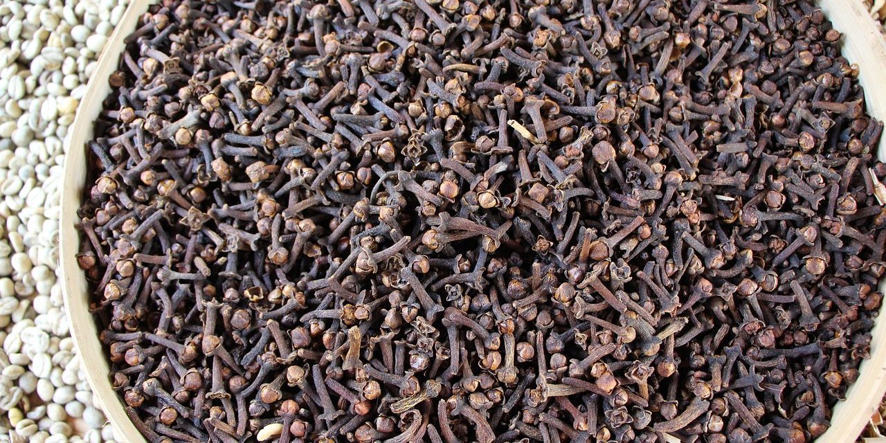 carnation-2718473_1280